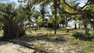 Imagem do WhatsApp de 2025 12 02 as 08.23.26 88cd613d