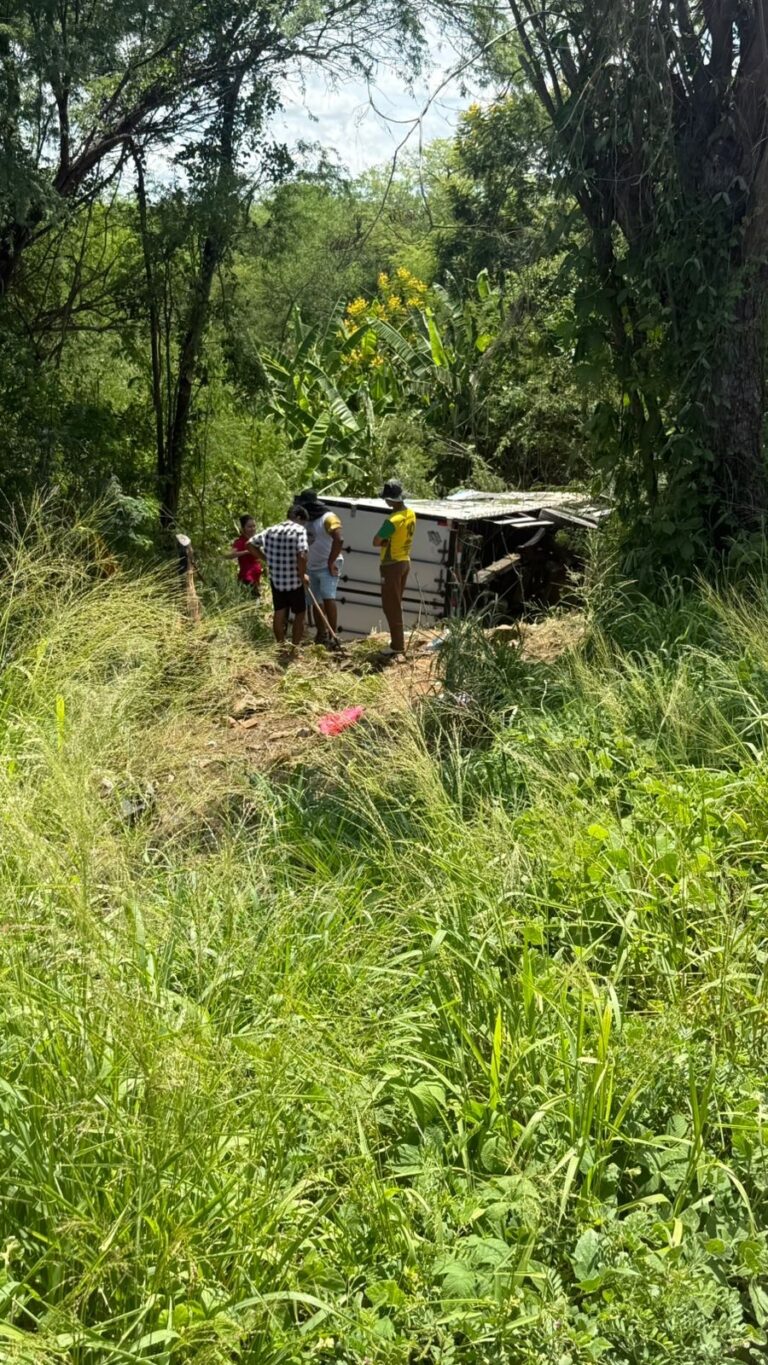 caminhao-com-carga-de-medicamentos-tomba-na-ba-026-em-maracas;-tres-pessoas-ficam-feridas