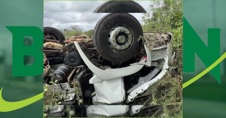 pai-e-filho-morrem-em-capotamento-de-caminhao-na-ba-130-na-bacia-do-jacuipe