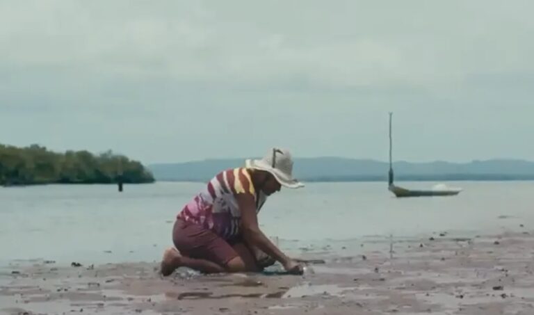 mpf-e-mp-ba-recomenda-protecao-de-mata-atlantica-e-terreiros-em-itaparica