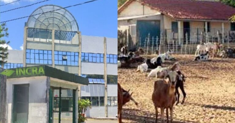 incra-reconhece-comunidade-de 17-familias-de-uaua-como-projeto-de-assentamento