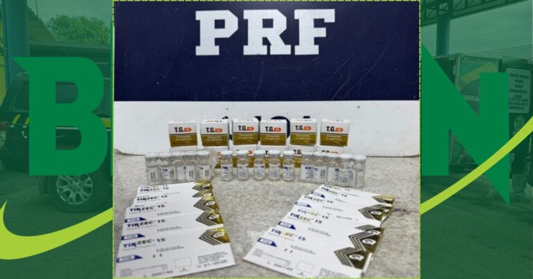 prf-apreende-armas,-municoes-e-remedios-ilegais-na-br-116-em-vitoria-da-conquista