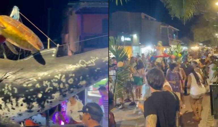 video:-banda-voou-agita-pre-carnaval-2026-na-praia-do-forte-neste-sabado