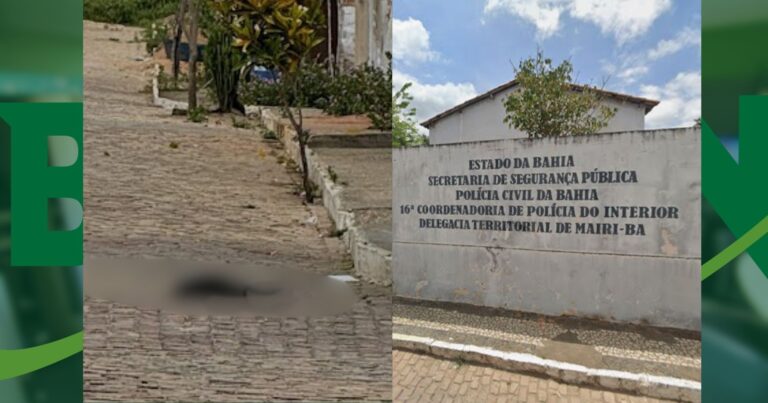 caes-sao-mortos-por-envenenamento-em-cidade-do-interior-da-bahia