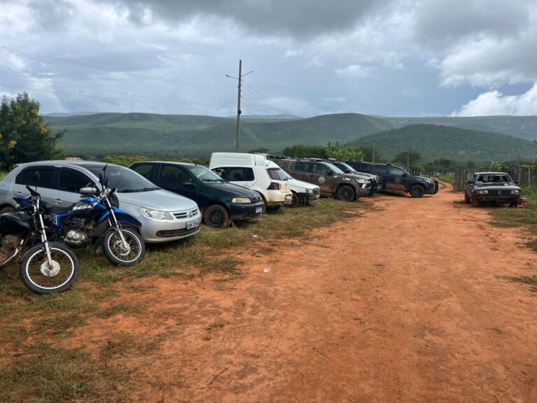 operacao-que-resultou-em-mortes-no-oeste-baiano-apreendeu-3-toneladas-de-maconha,-diz-ssp-ba