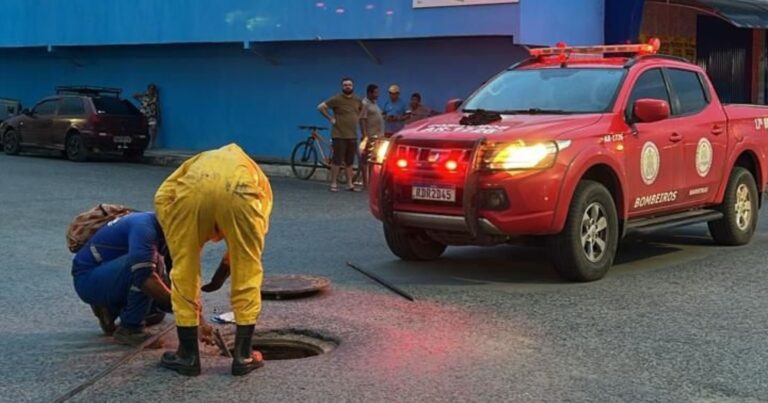 bombeiros-resgatam-cachorro-preso-em-boca-de-lobo-em-barreiras