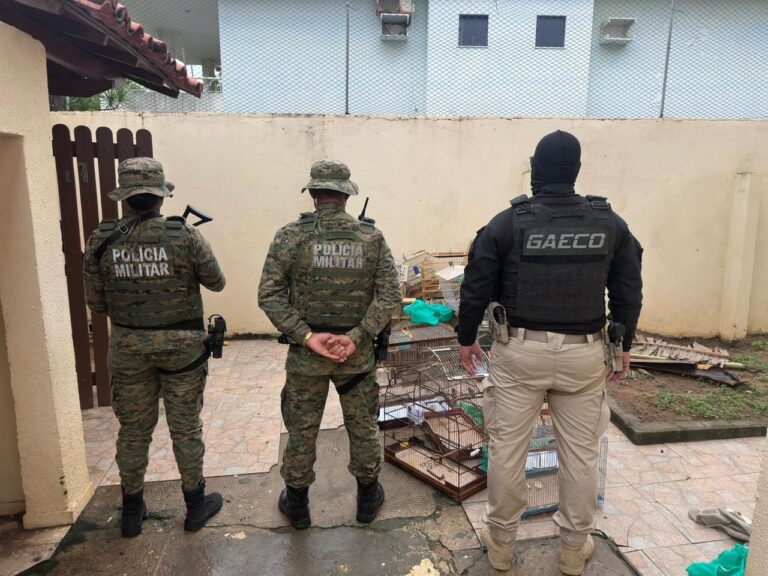 homem-e-preso-em-operacao-contra-trafico-de-animais-em-lauro-de-freitas