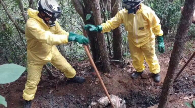 ossadas-humanas-sao-encontradas-em-area-de-mata-na-bahia;-policia-investiga-ligacao-com-“tribunal-do-crime”