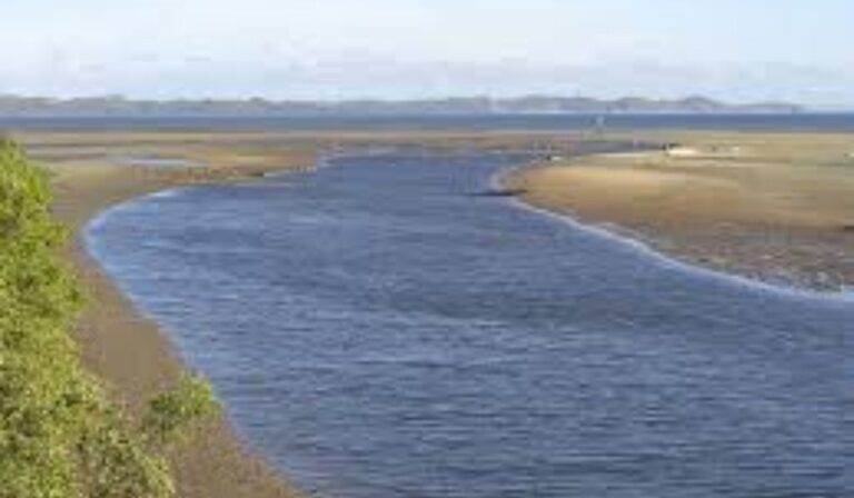 mpf-investiga-vazamento-de-oleo-que-destruiu-manguezais-no-rio-mataripe,-na-bahia