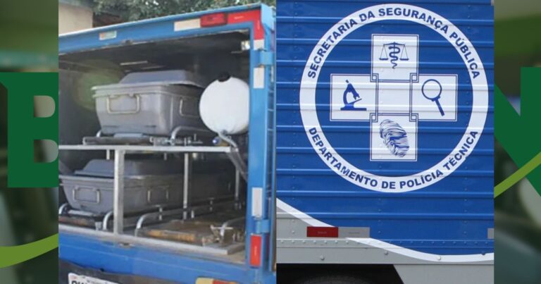 tratorista-de-34-anos-morre-apos-ataque-de-enxame-de-abelhas-em-bom-jesus-da-lapa