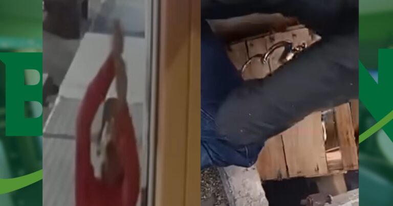 loja-de-celulares-e-arrombada-no-centro-de-eunapolis-e-policia-encontra-iphones-escondidos-em-esgoto