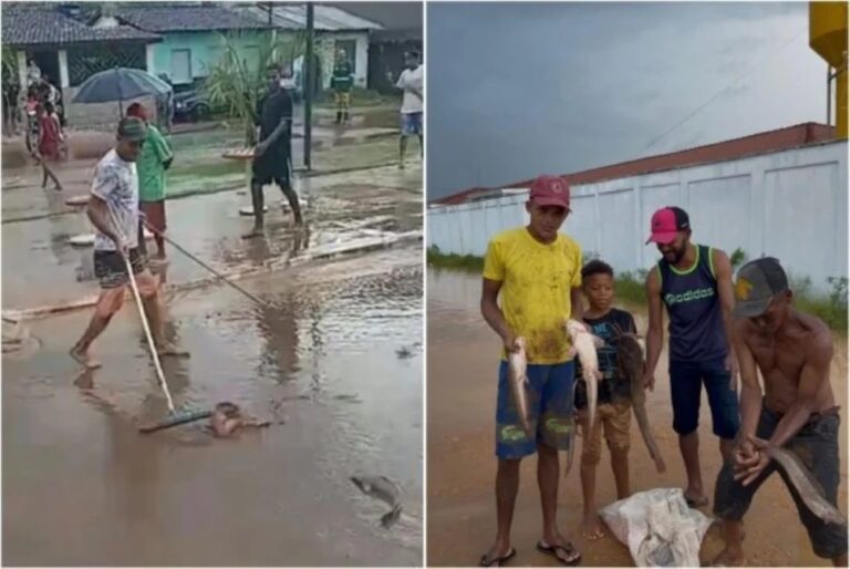 video:-moradores-de-ipiau-encontram-peixes-nas-ruas-apos-fortes-chuvas-na-cidade