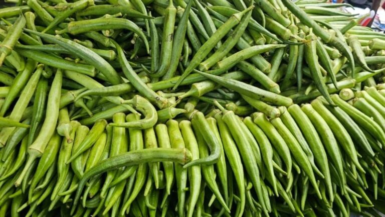 preco-do-quiabo-dispara-em-feira-na-semana-santa;-outros-alimentos-mantem-estabilidade