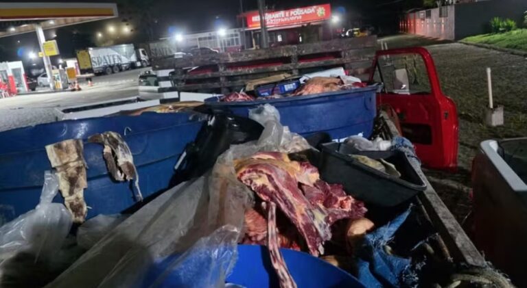 policia-apreende-quase-1-tonelada-de-carne-clandestina-no-sul-da-bahia;-motorista-e-preso