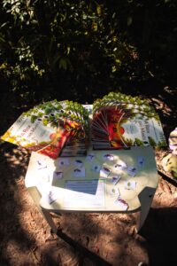 WhatsApp Image 2026 04 02 at 11.26.29 1