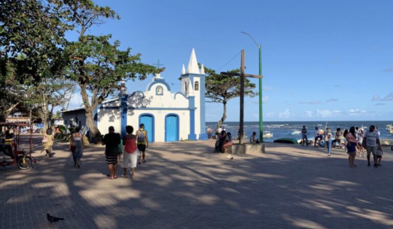 neoenergia-devera-apresentar-plano-para-proteger-animais-de-choques-eletricos-em-praia-do-forte