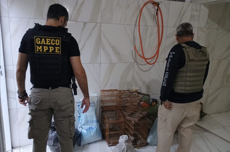 operacao-ninho-de-falcao-prende-dois-e-apreende-mais-de-370-passaros-silvestres-na-bahia-e-pernambuco