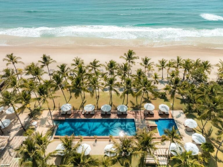 inema-autoriza-que-resort-de-luxo-monitore-praias-no-periodo-reprodutivo-de-tartarugas-marinhas-em-itacare