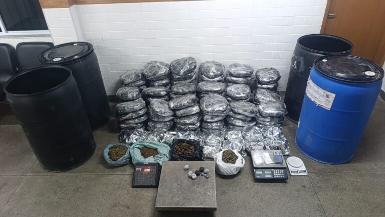 pm-apreende-mais-de-120-sacos-de-maconha-em-feira-de-santana
