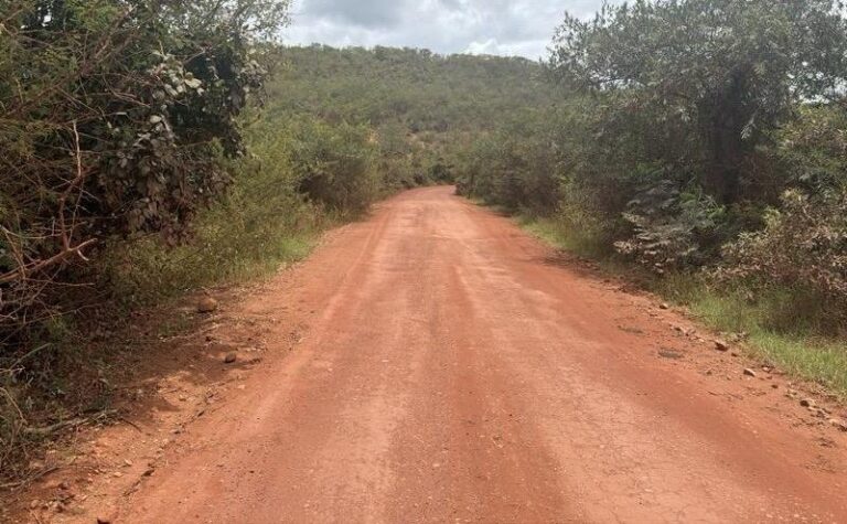 via-que-liga-mucuge-a-seabra-passara-por-reformas,-projeto-reduzira-o-trajeto-entre-municipios-em-57-km