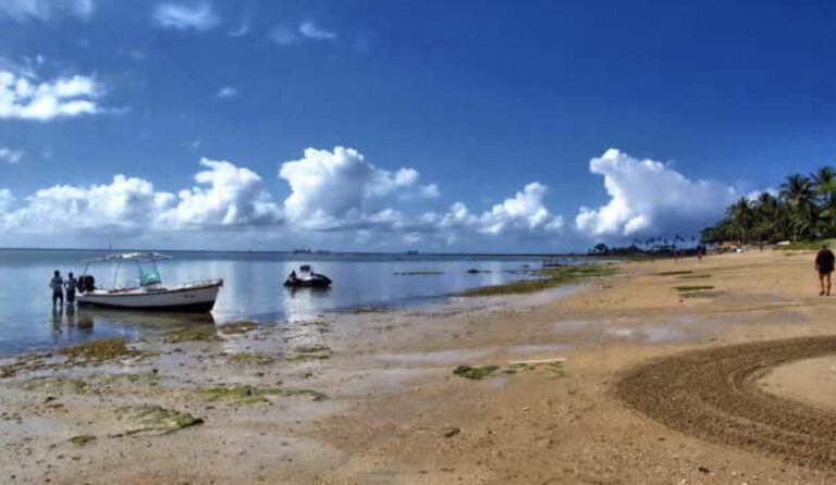 mp-ba-notifica-responsaveis-por-loteamento-irregular-e-danos-ambientais-em-mar-grande,-na-ilha-de-itaparica