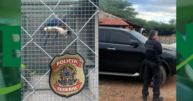 pf-e-icmbio-deflagram-operacao-para-proteger-ararinhas-azuis-ameacadas-de-extincao-na-bahia