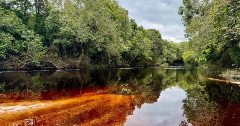 consulta-publica-para-unidade-de-conservacao-na-chapada-diamantina-e-aberta-apos-ataques-a-ambientalistas