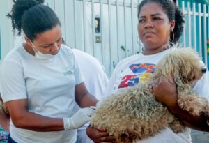 Prefeitura de Alcobaça amplia vacinação animal com ação voltada para cães e gatos nas microáreas 04 e 05 21 WhatsApp Image 2026 05 16 at 09.52.29 1