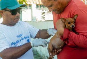 Prefeitura de Alcobaça amplia vacinação animal com ação voltada para cães e gatos nas microáreas 04 e 05 20 WhatsApp Image 2026 05 16 at 09.52.30 1