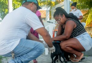 Prefeitura de Alcobaça amplia vacinação animal com ação voltada para cães e gatos nas microáreas 04 e 05 18 WhatsApp Image 2026 05 16 at 09.52.31 1