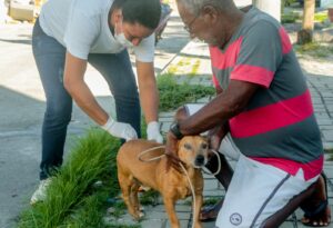 Prefeitura de Alcobaça amplia vacinação animal com ação voltada para cães e gatos nas microáreas 04 e 05 17 WhatsApp Image 2026 05 16 at 09.52.31 2