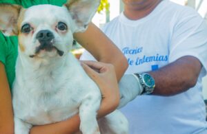 Prefeitura de Alcobaça amplia vacinação animal com ação voltada para cães e gatos nas microáreas 04 e 05 16 WhatsApp Image 2026 05 16 at 09.52.31