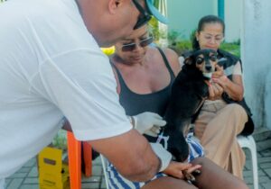 Prefeitura de Alcobaça amplia vacinação animal com ação voltada para cães e gatos nas microáreas 04 e 05 14 WhatsApp Image 2026 05 16 at 09.52.32