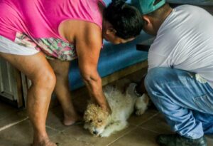 Prefeitura de Alcobaça amplia vacinação animal com ação voltada para cães e gatos nas microáreas 04 e 05 12 WhatsApp Image 2026 05 16 at 09.52.33 2