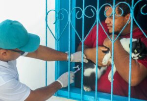 Prefeitura de Alcobaça amplia vacinação animal com ação voltada para cães e gatos nas microáreas 04 e 05 8 WhatsApp Image 2026 05 16 at 09.52.34