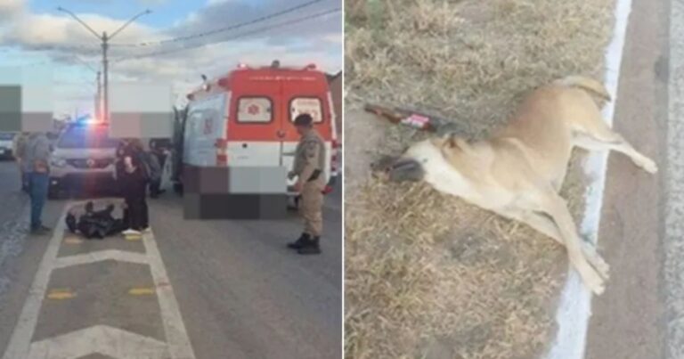 motociclista-fica-ferido-apos-atropelar-cachorro-na-br-030,-no-sudoeste-baiano
