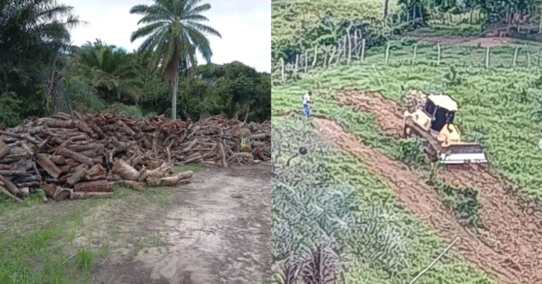 mpf-processa-empresas-e-municipio-de-lauro-de-freitas-por-degradacao-ambiental-em-territorio-do-quilombo-quingoma