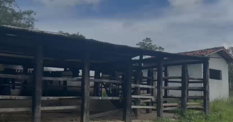 operacao-terra-santa-resgata-39-pacientes-em-situacao-de-carcere-privado-em-candeias