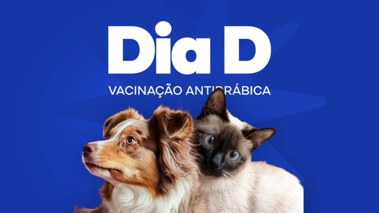 dia-d-de-vacinacao-antirrabica-acontece-neste-sabado-(25)-em-25-unidades-de-saude-de-teixeira-de-freitas-–-prefeitura-de-teixeira-de-freitas-–-bahia
