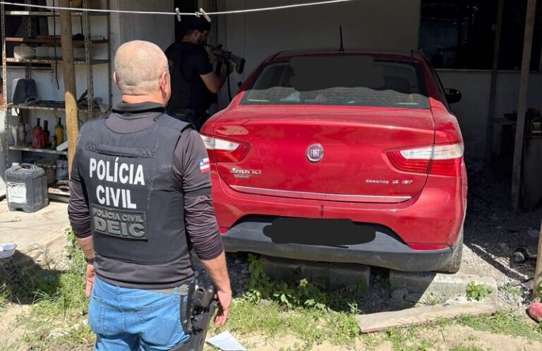 policia-civil-de-eunapolis-localiza-desmanche-e-veiculos-adulterados-em-porto-seguro