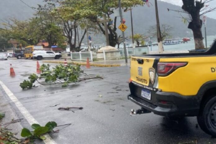 apos-ventania,-tempo-em-sao-paulo-volta-a-normalizar,-aponta-previsao