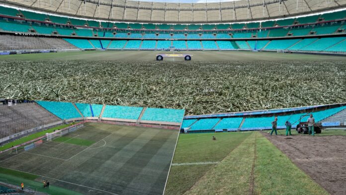 fonte-nova-sob-criticas:-4-shows-e-3-jogos-do-bahia-em-56-dias