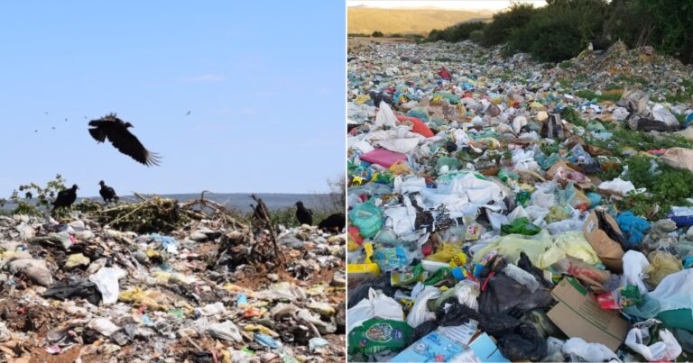 novo-marco-do-saneamento:-388-cidades-ainda-mantem-lixoes-a-ceu-aberto-na-bahia