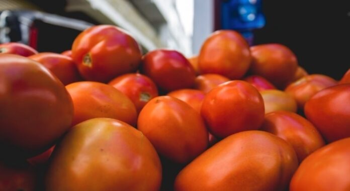 tomate-puxa-recuo-de-3,22%-na-cesta-basica-de-camacari,-aponta-uneb