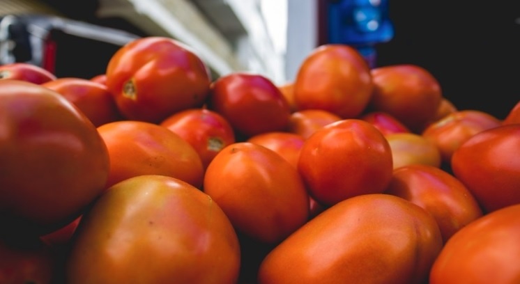 tomate-puxa-recuo-de-3,22%-na-cesta-basica-de-camacari,-aponta-uneb