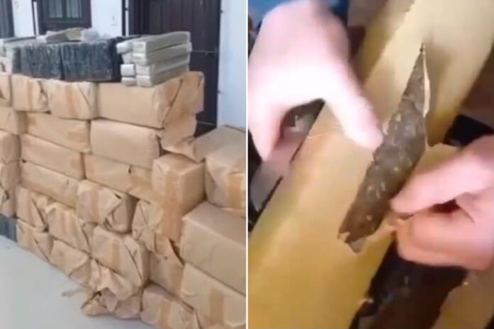 motorista-e-preso-pela-pf-com-caminhao-bau-recheado-de-maconha