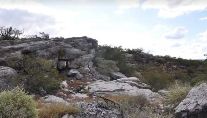 jovem-de-17-anos-coopera-para-a-descoberta-de-sitio-arqueologico-com-pinturas-rupestres-na-bahia