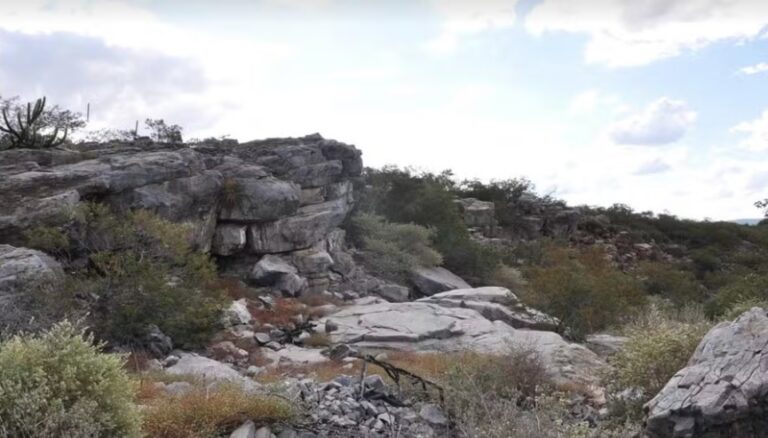 jovem-de-17-anos-coopera-para-a-descoberta-de-sitio-arqueologico-com-pinturas-rupestres-na-bahia