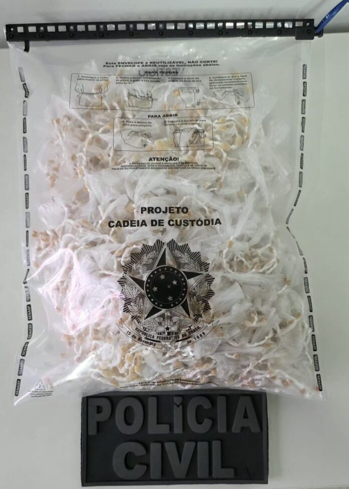 policia-apreende-2,6-mil-pedras-de-crack-em-ibicui;-valor-estimado-em-r$-50-mil
