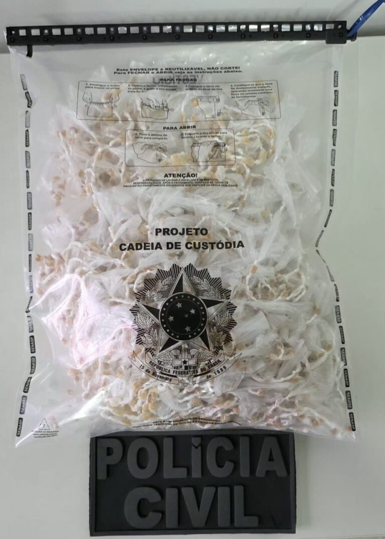 policia-apreende-2,6-mil-pedras-de-crack-em-ibicui;-valor-estimado-em-r$-50-mil
